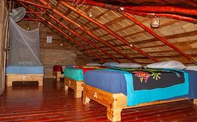 Hostel La Ballena Backpacker