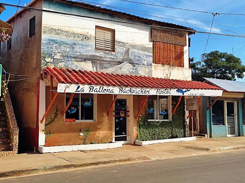 Hostel La Ballena Backpacker Las Galeras Exterior foto