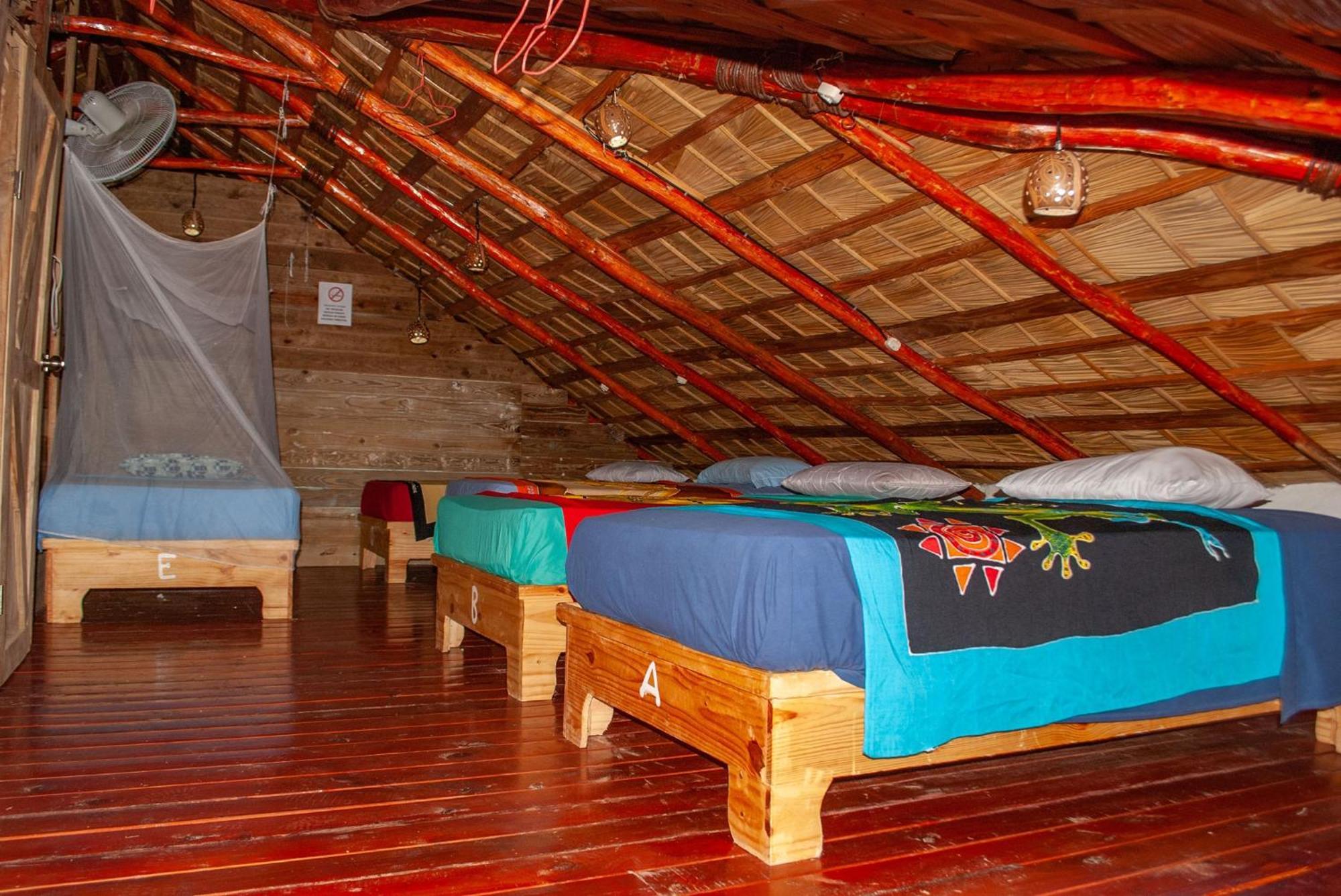 Hostel La Ballena Backpacker Las Galeras Exterior foto