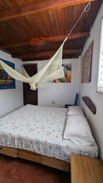 Hostel La Ballena Backpacker Las Galeras Exterior foto